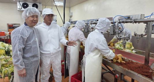 [스마트 산업강국 함께 하는 제조혁신 2.0] 일일이 손으로 만들던 김치, 자동공정 도입해 생산량 '쑥'